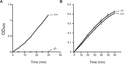 Fig. 3. Cathepsin G and neutrophil elastase activities in cathepsin G-deficient mice. The activity of cathepsin G and neutrophil elastase was determined by the ability of total bone marrow protein extracts to cleave colorometric peptide substrates in vitro, as described in Materials and Methods. (A) A peptide substrate for cathepsin G (N-Succinyl-Ala-Ala-Pro-Phe-pNA) is used. Cathepsin G−/− mice have no detectable conversion of this substrate even after 30 minutes of incubation at 37°C. (B) The conversion of the neutrophil elastase-specific peptide (N-Methoxysuccinyl-Ala-Ala-Pro-Val-pNA) is shown. Wild-type and cathepsin G−/− mice have equivalent amounts of neutrophil elastase activity. These experiments were performed 3 times with identical results.