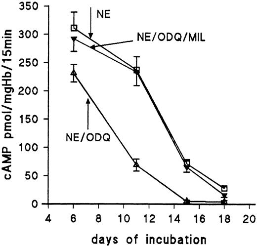 Fig. 5. Effect of ODQ and milrinone on NE-stimulated cAMP accumulation of RBC from 6- to 18-day-old chick embryos. RBC were stimulated for 15 minutes with 10 μmol/L NE in the absence and presence of ODQ (30 μmol/L) and milrinone (20 μmol/L), respectively. Data are the mean values and SD from 3 to 5 experiments in each case.