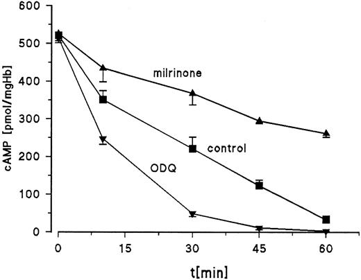 Fig. 6. Effect of ODQ and milrinone on cAMP degradation. RBC from day-11 chick embryos were incubated for 2 hours at 37°C with 10 μmol/L NE, washed, and resuspended in fresh buffer (control) or buffer with 30 μmol/L ODQ or 20 μmol/L milrinone. Cyclic AMP measurements started with addition of ODQ or milrinone and were performed over 60 minutes. Data are the mean values and SD from 3 experiments.