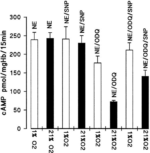 Fig. 8. Effect of SNP on ODQ-dependent decrease of cAMP level of oxygenated and deoxygenated RBC from day 11. RBC suspensions were preequilibrated in air or 1% oxygen for 25 minutes before the addition of NE (10 μmol/L for 15 minutes) in the absence or presence of 100 μmol/L SNP; ODQ (30 μmol/L) was added after 10 minutes of preequilibration. Data are the mean values and SD from 4 experiments.