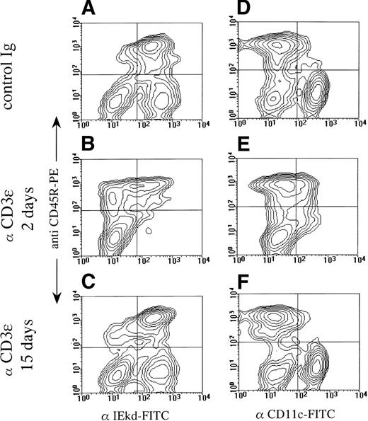 Fig. 2. Selective reduction of DC number after anti-CD3ɛ administration. BALB/c mice were treated on day 0 with control antibody or anti-CD3ɛ (50 μg IV) and analyzed on days 2 and 15 for I-Ed, CD45R, and CD11c expression. Pooled low-density spleen cells from 3 individuals in each group were analyzed by 2-color immunofluorescence after staining with PE-labeled anti-CD45R and FITC-labeled anti–I-Ed (A through C) or PE-labeled anti-CD45R and FITC-labeled anti-CD11c (D through F).