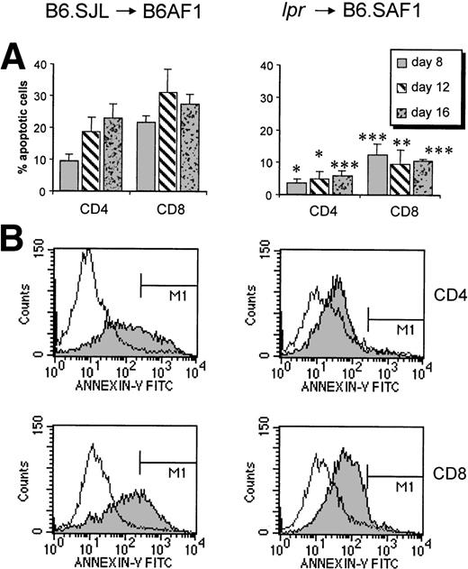 Fig. 3. Host-reactive cells show massive apoptosis involving Fas/FasL interactions. (A) Proportion of apoptotic (Annexin-V–positive) T cells in F1 recipients injected with B6.SJL vs. lpr cells. The mean numbers of apoptotic CD4+/CD8+ T cells was 4.5%/3% in B6.SJL controls and 5.8%/3.4% in lpr controls (n = 3; data not shown). Results are expressed as the mean ± SD, n = 3. *P < .05, **P < .01, ***P < .005 relative to B6.SJL donors. (B) Histograms showing results for a representative F1 recipient studied on day 16 after injection of B6.SJL or lpr cells (shaded diagram). The clear histogram represents a negative control (untreated B6.SJL or lpr mouse).
