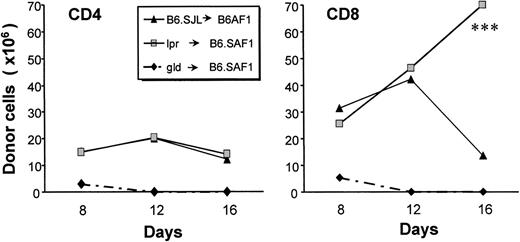Fig. 4. Influence of Fas/FasL interactions on donor T-cell expansion. Expansion of donor T cells obtained from B6.SJL, gld (FasL-deficient), or lpr (Fas-deficient) mice after transplantation in B6AF1 or B6.SAF1 recipients. Three-color staining was performed with the following fluorochrome-conjugated antibodies: anti-Ly5.1 or anti-Ly5.2, anti-CD4 or anti-CD8, and anti-Thy1.1 or anti-Thy1.2. On day 16, the number of donor-derived CD8+ T cells was greater with lpr donors than with B6.SJL donors (***P < .005).