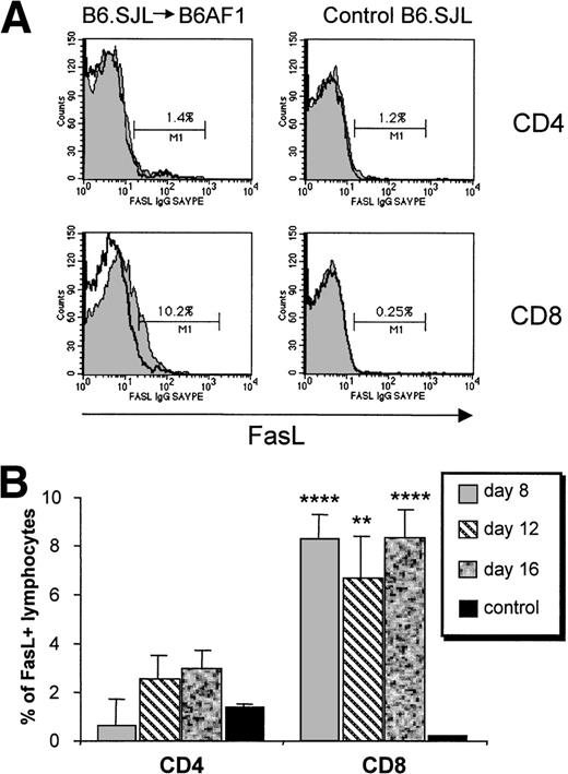 Fig. 6. Upregulation of FasL expression on CD8+ T cells. A cell suspension containing 6 × 107 B6.SJL T cells was injected into unirradiated B6AF1 recipients. (A) Increased FasL expression on donor (Ly5.1+) CD8+ T cells on day 8. Cells were first labeled with hamster anti-FasL antibody, then with biotin-coupled goat antihamster antibody, and lastly with PE-conjugated streptavidin together with FITC-labeled anti-Ly5.1 and Cy-chrome–labeled anti-CD4 or anti-CD8 antibodies; only the last two steps were performed in staining control. FasL staining is represented by a shaded histogram and staining control as a clear histogram. The value shown in each box represents the specific staining of FasL+ cells. Results from one representative experiment of three are shown. (B) Time course evaluation of FasL expression. Mean ± SD, N = 3. **P < .01, ****P< .001 relative to control.
