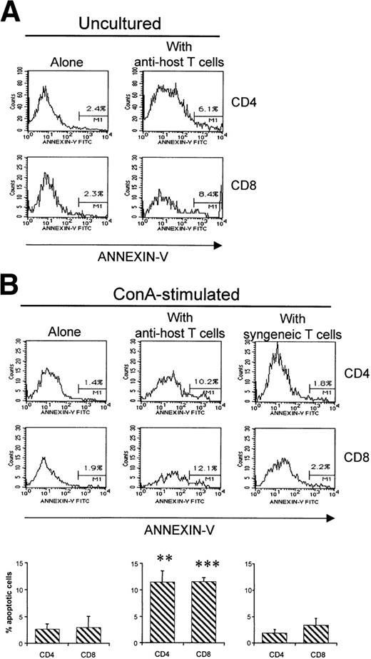 Fig. 8. Apoptosis of non–host-reactive T cells when coinjected with host-reactive T cells. Non–host-reactive cells were injected alone or with either host-reactive T cells or syngeneic T cells as described in Fig 7. (A) The proportion of non–host-reactive cells stained by Annexin-V was evaluated in fresh uncultured spleen cell suspensions from day-8 B6AF1 hosts. Three-color staining was performed with the following antibodies: PE-labeled anti-Ly5.2, Cy-chrome–labeled anti-CD4 or anti-CD8, and FITC-labeled Annexin-V. Results from one representative experiment of three are shown. (B) Annexin-V staining was performed after culturing recipient spleen cells during 40 hours in the presence of Con A. Results are expressed as the mean ± SD (N = 3) in the lower panel, and results from one representative experiment are depicted in the upper panel. **P< .01, ***P < .005 when compared with the results obtained in mice transplanted with non–host-reactive T cells alone or non–host-reactive T cells + syngeneic T cells. No differences were found between mice transplanted with non–host-reactive T cells alone versus non–host-reactive T cells + syngeneic T cells.
