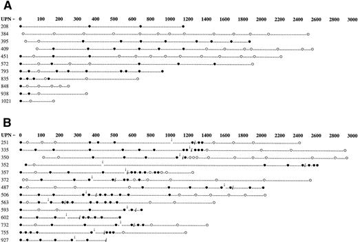 Fig. 2. Serial PCR analysis for patients who received HLA-identical sibling marrow grafts for the treatment of CP CML. (A) Patients who have not relapsed and therefore have not been treated with DLI. (B) Patients who were treated with DLI for relapsed disease. (•) Patients testing positive for the presence of the bcr/abl RNA transcript. (○) Patients testing negative for the presence of the bcr/abl RNA transcript. Arrows indicate time of relapse posttransplant. (i) Denotes the time of first donor leukocyte infusion.