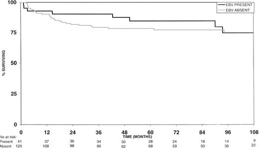 Fig. 1. Survival curves by EBV status.