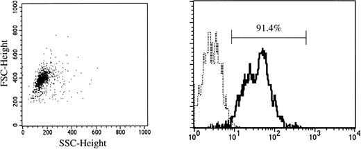 Fig. 1. CD34 expression on cord blood cells separated by immunomagnetic beads coated with anti-CD34 monoclonal antibody. (—) Labeled with FITC-conjugated anti-CD34 MoAb. (···) Labeled with FITC-conjugated mouse IgG.