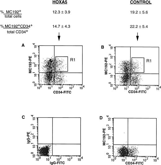 Fig. 2. tNGFR expression after transduction of CD34+ progenitors with HOXA5 and control vectors. Numbers shown are the percentage of total cells expressing tNGFR (%MC192+/total cells) and the percentage of CD34+ cells expressing tNGFR (%MC192+CD34+/total CD34+cells) from 12 experiments (mean ± SEM). (A) and (B) show typical FACS profiles of cultures 24 hours after transduction with either theHOXA5 vector or control vector, respectively. The R1 gate was used to isolate MC192+CD34+ cells for further culture and analysis. (C) Isotype control. (D) Mock (nontransduced) control.
