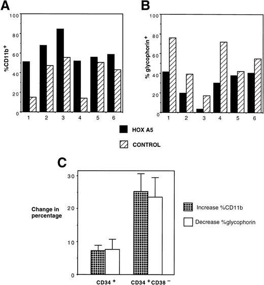 Fig. 6. Effects of HOXA5 overexpression in CD34+CD38− cells. (A) CD11b and (B) glycophorin expression from 4-week-old cultures of CD34+CD38− cells transduced with eitherHOXA5 or control vectors (n = 6 independent experiments). (C) The effect of HOXA5 expression on CD11b and glycophorin expression is greater when CD34+CD38− cells are transduced than when CD34+ cells are transduced (P = .006). Shown are the mean ± SEM of the increase in the percentage of CD11b+ cells (% HOXA5 − % control) and the decrease in the percentage of glycophorin+ cells (% control − % HOXA5; n = 6 CD34+CD38− experiments and n = 15 CD34+ experiments).