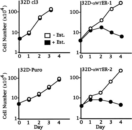 Fig. 3. C/EBP slows 32D cl3 cell proliferation. 32D cl3 32D cl3, 32D-Puro, 32D-WT-ER-1, and 32D-WT-ER-2 cells in IL-3 were cultured in the absence or presence of estradiol (− Est. or + Est.). Viable cell numbers were enumerated daily with a hemocytometer and Trypan Blue Dye. Results shown are the mean of three determinations. Standard errors (SEs) were less than 15% of each mean.
