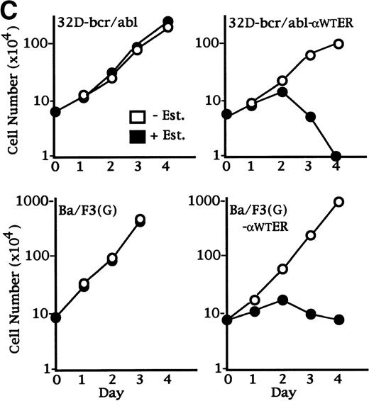 Fig. 4. C/EBP slows the proliferation of 32D cl3 myeloblasts that cannot differentiate due to the expression of bcr-ablp210 and of Ba/F3 lymphoid cells. (A) Total cellular proteins were prepared from 32D cl3 cells (32D), from a cell line known to express bcr-ablp210 (K562), from a pool of 32D cl3 cells transduced with a control retrovirus (32D-Neo), and from a pool of 32D cl3 cells transduced with a retrovirus expressing bcr-ablp210 and G418 resistance (32D-bcr/abl). These extracts were then subjected to Western blotting with a c-abl antisera (left panel). The locations of c-abl and bcr-ablp210 are indicated. A G418-resistant subclone was derived the 32D-bcr/abl pool by limiting dilution and was shown to express a similar level of bcr-ablp210 (not shown). This line was then transduced with the pBabePuro-C/EBPWT-ER retroviral vector. A subclone resistant to G418 and puromycin was selected. A total cellular protein extract derived from this line was subjected to Western blotting for C/EBP (right panel). (B) Total cellular RNAs were prepared from 32D-Neo and 32D-bcr/abl cells in IL-3 or after 0, 1, 2, 3, or 4 days in G-CSF. RNA samples were also prepared from 32D-bcr/abl cells cultured in G-CSF for 6, 8, or 10 days. These RNAs were then subjected to Northern blotting for MPO, GCSFR, and 18S RNAs. (C) 32D-bcr/abl, 32D-bcr/abl-WT-ER, Ba/F3(G), and Ba/F3(G)-WTER cells in IL-3 were cultured in the absence or presence of estradiol. Ba/F3(G) cells are a derivative of Ba/F3 cells which express the G-CSFR. Ba/F3(G)-WTER cells express C/EBPWT-ER in addition. Cell counts were enumerated daily with a hemocytometer and Trypan Blue Dye. Results shown are the mean of three determinations. SEs were less than 10% of each mean.