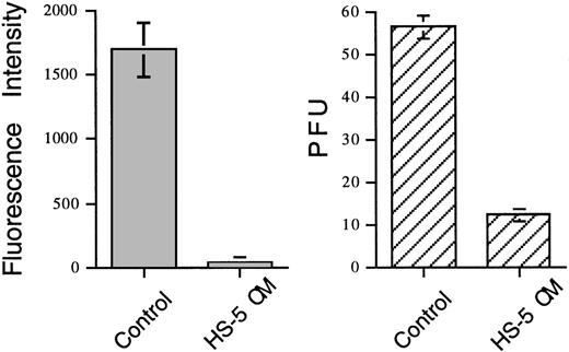 Fig. 2. Effect of HS-5 conditioned media (HS-5 CM) on CMV infection of HS-27a stromal cells measured as fluorescence intensity of GFP or as PFU. HS-27a cells were exposed to recombinant GFP-CMV at 0.2 MOI and cultured in control media (Control) or HS-5 CM for 13 days. Fluorescence intensity was determined using a CytoFluor plate reader; PFU were detected using an inverted fluorescence microscope. Data represent the means ± SE of four determinations in one of two representative experiments.