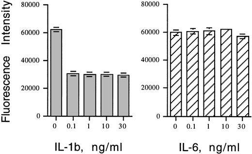 Fig. 3. Effect of recombinant human IL-1β or IL-6 on CMV growth in HS-27a stromal cells as measured by fluorescence intensity of GFP. The cells were infected with recombinant GFP-CMV at 1 MOI and cultured in media containing 0 to 30 ng/mL of IL-1β or IL-6 for 10 days. Values represent means ± SE of four determinations in one of two representative experiments.