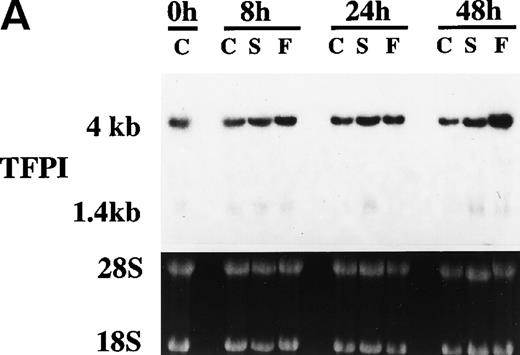 Fig. 7. Effect serum and bFGF on TFPI mRNA accumulation in PASMC. Quiescent PASMC were treated with basal medium alone or the basal medium containing serum (10% vol/vol) or bFGF/heparin (10 ng/15 U/mL) for 8, 24, and 48 hours. Total RNA was isolated from the cells, 10 μg of each RNA sample was used for Northern blot analysis, and the blot was hybridized with a radiolabeled TFPI cDNA probe and exposed to x-ray film (A). Because the TFPI 1.4-kb message in these cells was about 20% of the total TFPI message and migrated as a diffused band, it was not visible clearly in the figure. Ethidium bromide staining of 28S and 18S ribosomal RNA of the same samples indicates equal RNA loading. (B) Quantitative analysis of hybridization signal obtained with PhosphorImager (n = 3). The symbols are as follows: C, control treated (basal medium alone); S, serum treated; F, bFGF treated.