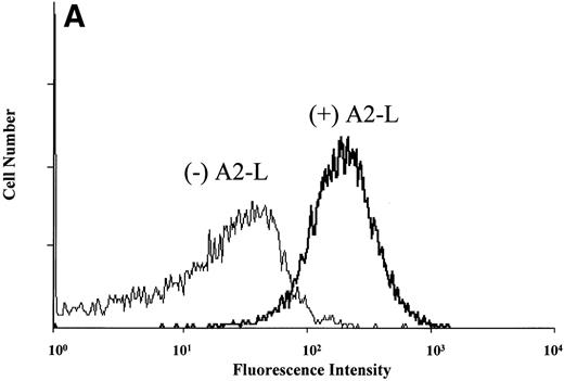 Fig. 3. Flow cytometric measurement of antibody binding from chimpanzee A-264 and control chimpanzee plasma alternatively using chimpanzee A-264 and control chimpanzee platelets (A and B) and human platelets (C) in the presence of 10 μmol/L drug. (A) depicts the histograms from flow cytometric measurements of DDAb binding in the presence (+) and in the absence (−) of A2-L. Data in (B) represent the mean ± SD from three measurements. Data in (C) using A2-L and A1-L represent the mean ± SD from measurements using platelets of 45 human subjects; for other compounds, data represent the mean ± SD from measurements using platelets of three human subjects. Binding of DDAbs is plotted as relative fluorescence of an FITC-labeled secondary antibody. The right two sets of bars in (C) represent results with human platelets pretreated at 37°C for 1 hour with 10 mmol/L EDTA. A2-R (Kd, 0.45 nmol/L) and A1-R (Kd, 0.28 nmol/L) are R-isomers of A2-L and A1-L, respectively.