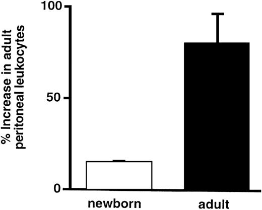 Fig. 1. Transfused leukocytes from adult rats do not transmigrate efficiently in neonatal rats. The ordinate indicates the percentage increase (see Materials and Methods) in cpm of radiolabeled adult leukocytes that transmigrated into the peritoneum of neonatal and adult rats. The bars represent the mean ± SEM of values from 4 rats in each group. The difference in the percentage increase in peritoneal leukocytes between the newborn and the adult is statistically significant (P = .05).