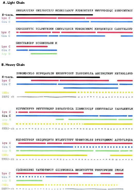 Fig. 5. Complete amino acid sequence of trocarin. Strategy for determination of the sequence of light (A) and heavy chains (B). N-term.: Amino terminal sequence of intact chain. Peptides were derived from a digest of light or heavy chains by endoproteinase Lys C (Lys C), endoproteinase Glu C (Glu C), endoproteinase Asp N (Asp N), cyanogen bromide (CNBr), and BNPS-skatole (BNPS-sk). Solid lines represent regions whose sequences were determined by Edman degradation and/or confirmed by mass spectrometry. Broken lines represent regions of peptides that were not sequenced.
