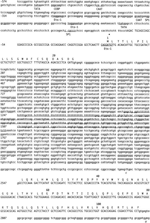 Fig. 2. Complete nucleotide sequence of the human endothelial cell protein C/APC receptor gene. Numbering is relative to the first nucleotide of the translation start (Met) codon (+1). Numbers on the left-hand side denote the number of the first nucleotide on that line. Uppercase letters denote a sequence that has been isolated as mRNA or cDNA, lowercase letter denote 5′ and 3′ flanking sequence and introns. The bullet point under the sequence represents a transcription initiation site (C-79). Putative regulatory elements in the 5′ region of the gene are indicated by broken lines and the name of the element. Two alternative polyadenylation sites in the 3′ region of the gene are also indicated by broken lines. The exon sequences correspond with the EPCR cDNA sequence previously published, except for 3 nucleotides (double underlined). Intronic sequences that are potentially polymorphic are indicated with italics. Three Alu repetitive elements within introns and in the 3′ flanking sequence are underlined. An EcoRI site (GAATTC) in exon III is also indicated. CEBP, CAAT enhancer binding protein.