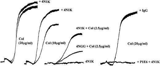 Fig. 1. 4N1K synergizes with soluble collagen in platelet aggregation in PRP. Freshly prepared PRP was equilibrated in the aggregometer cuvette at 37°C for 5 minutes and then stimulated with soluble collagen (2.5, 10, or 20 μg/mL). 4N1K (50 μmol/L) or 4NGG, control peptide (50 μmol/L), was added 2 minutes before the soluble collagen. Anti-2 MoAb P1E6 (10 μg/mL) or mIgG (10 μg/mL) was added 2 minutes before agonist addition in the right set of curves. These experiments were repeated 10 times with platelets from different donors.