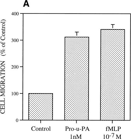 Fig. 1. Chemotactic response of RSMC to pro-u-PA, C-su-PAR, and peptide 1. Chemotaxis assay was performed as described in methods using modified Boyden chambers. (A) Comparison of the chemotactic effects of pro-u-PA (1 nmol/L) and fMLP (10−7 mol/L) on RSMC. (B) Effects of increasing doses of pro-u-PA on RSMC migration. (C) Effects of increasing concentrations of C-su-PAR on RSMC migration. (D) Chemotactic activity of synthetic peptides on RSMC migration. Peptide 1 (AVTYSRSRYLEC), which corresponds to amino acids 84-95 of human u-PAR, and a scrambled version of peptide 1 (TLVEYYSRASCR) were tested as chemoattractant. Cells migrated towards increasing doses of peptide 1 or its scrambled version, as indicated. (E) Effect of the LRP antagonist RAP on RSMC migration and its effect on pro-u-PA stimulation. (F) Influence of either wild-type BPT or mutated BPT on pro-u-PA–induced or bFGF-induced chemotactic response of RSMC. Toxins were present in both chambers of the Boyden apparatus. Random cell migration of unstimulated cells is considered to be 100% migration. Results are the mean ± SD (n = 3).