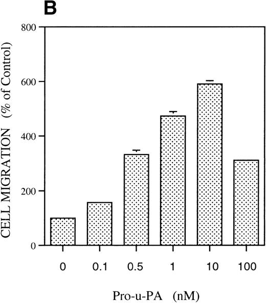 Fig. 1. Chemotactic response of RSMC to pro-u-PA, C-su-PAR, and peptide 1. Chemotaxis assay was performed as described in methods using modified Boyden chambers. (A) Comparison of the chemotactic effects of pro-u-PA (1 nmol/L) and fMLP (10−7 mol/L) on RSMC. (B) Effects of increasing doses of pro-u-PA on RSMC migration. (C) Effects of increasing concentrations of C-su-PAR on RSMC migration. (D) Chemotactic activity of synthetic peptides on RSMC migration. Peptide 1 (AVTYSRSRYLEC), which corresponds to amino acids 84-95 of human u-PAR, and a scrambled version of peptide 1 (TLVEYYSRASCR) were tested as chemoattractant. Cells migrated towards increasing doses of peptide 1 or its scrambled version, as indicated. (E) Effect of the LRP antagonist RAP on RSMC migration and its effect on pro-u-PA stimulation. (F) Influence of either wild-type BPT or mutated BPT on pro-u-PA–induced or bFGF-induced chemotactic response of RSMC. Toxins were present in both chambers of the Boyden apparatus. Random cell migration of unstimulated cells is considered to be 100% migration. Results are the mean ± SD (n = 3).