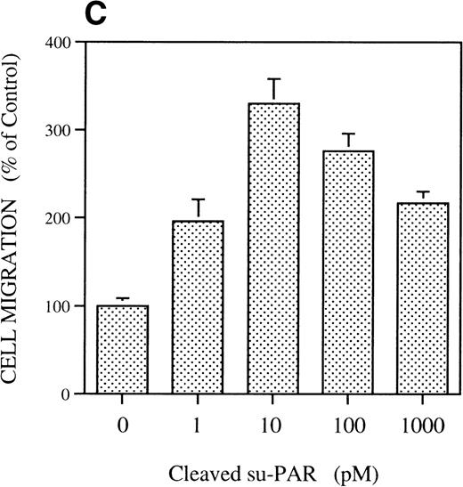 Fig. 1. Chemotactic response of RSMC to pro-u-PA, C-su-PAR, and peptide 1. Chemotaxis assay was performed as described in methods using modified Boyden chambers. (A) Comparison of the chemotactic effects of pro-u-PA (1 nmol/L) and fMLP (10−7 mol/L) on RSMC. (B) Effects of increasing doses of pro-u-PA on RSMC migration. (C) Effects of increasing concentrations of C-su-PAR on RSMC migration. (D) Chemotactic activity of synthetic peptides on RSMC migration. Peptide 1 (AVTYSRSRYLEC), which corresponds to amino acids 84-95 of human u-PAR, and a scrambled version of peptide 1 (TLVEYYSRASCR) were tested as chemoattractant. Cells migrated towards increasing doses of peptide 1 or its scrambled version, as indicated. (E) Effect of the LRP antagonist RAP on RSMC migration and its effect on pro-u-PA stimulation. (F) Influence of either wild-type BPT or mutated BPT on pro-u-PA–induced or bFGF-induced chemotactic response of RSMC. Toxins were present in both chambers of the Boyden apparatus. Random cell migration of unstimulated cells is considered to be 100% migration. Results are the mean ± SD (n = 3).