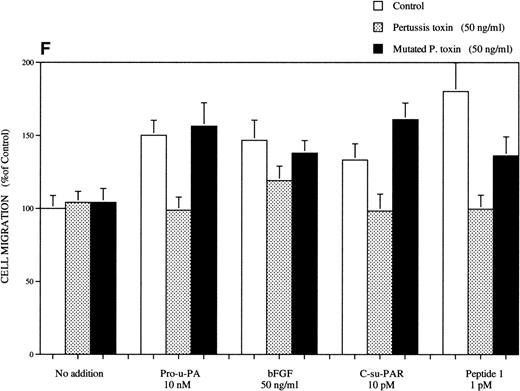 Fig. 1. Chemotactic response of RSMC to pro-u-PA, C-su-PAR, and peptide 1. Chemotaxis assay was performed as described in methods using modified Boyden chambers. (A) Comparison of the chemotactic effects of pro-u-PA (1 nmol/L) and fMLP (10−7 mol/L) on RSMC. (B) Effects of increasing doses of pro-u-PA on RSMC migration. (C) Effects of increasing concentrations of C-su-PAR on RSMC migration. (D) Chemotactic activity of synthetic peptides on RSMC migration. Peptide 1 (AVTYSRSRYLEC), which corresponds to amino acids 84-95 of human u-PAR, and a scrambled version of peptide 1 (TLVEYYSRASCR) were tested as chemoattractant. Cells migrated towards increasing doses of peptide 1 or its scrambled version, as indicated. (E) Effect of the LRP antagonist RAP on RSMC migration and its effect on pro-u-PA stimulation. (F) Influence of either wild-type BPT or mutated BPT on pro-u-PA–induced or bFGF-induced chemotactic response of RSMC. Toxins were present in both chambers of the Boyden apparatus. Random cell migration of unstimulated cells is considered to be 100% migration. Results are the mean ± SD (n = 3).