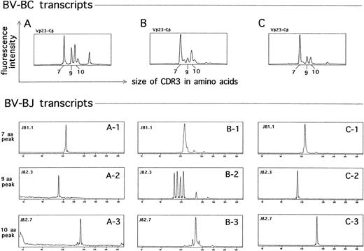 Fig. 5. Identification of clonally related T-cell subsets in the skin (A), peripheral blood (B), and bone marrow (C) from a representative MM patient (UPN 14). (Upper panel) CDR3 size distribution at the level of BV23-BC transcripts. (X-axis) Sizes in amino acids of the CDR3 regions. (Y-axis) Fluorescence intensities, reflecting the number of clones using each CDR3 size combination. Three recurrent predominant peaks (7 aa, 9 aa, and 10 aa) are identified in each sample. (Lower panel) CDR3 size distribution at the level of BV23-BJ transcripts. The usage of individual BJ segments in the 7 aa, 9 aa, and 10 aa peaks from the skin (A1-A3), peripheral blood (B1-B3), and bone marrow (C1-C3) samples are shown.