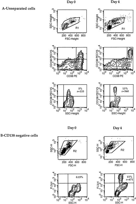 Fig. 2. CD138 expression is upregulated during maturation of plasma cells in vitro. (A) CD138 expression was determined in double staining with CD38 in unseparated cells at day 0 and after a 4-day culture. The percentage and fluorescence intensity ratio of CD138 expression were defined in the R1-gated cells and are indicated within the dot-plots. (B) After immunomagnetic removal of CD138+cells, CD138− cells were cultured for 4 days, and the expression of CD138-PECY5 (FL3-H) (percentage and fluorescence intensity ratio r) was determined in the R2-gated population. CD138+ and CD138− cell separation was performed as described in Materials and Methods (RP8).