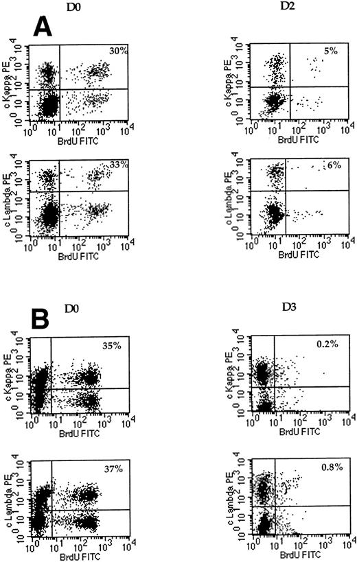 Fig. 4. High-rate proliferation of reactive plasma cells is rapidly downregulated. Freshly explanted cells were incubated for 2 hours with 1 mmol/L BrdU at day 0 and at day 2 or 3, as indicated in the figure. BrdU+ cells were determined in the intracytoplasmic (c) λ or κ population by double staining with anti-λ-PE or anti-κ-PE MoAb versus FITC-anti-BrdU MoAb, as described in Materials and Methods. For each dot-plot, 10,000 events were acquired. Dot-plots: A, RP9; B, RP7.