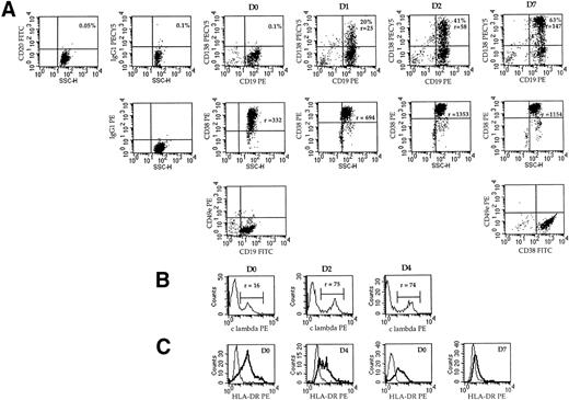 Fig. 6. Phenotypic changes during the differentiation process of plasmablasts into plasma cells in vitro. (A) Analysis of CD138 and CD19 expression in double staining with anti-CD138-biotin-streptavidin-PECy5 and anti-CD19-PE MoAbs and analysis of CD38 expression in simple staining during time-course differentiation (RP5). At day 0, CD138+ and CD20+ cells were removed as described in Materials and Methods. The percentage of positive cells and the fluorescence intensity ratio (r) are indicated. Intracellular light-chain staining was performed, as described in Materials and Methods. The histograms show the fluorescence profiles for λ or κ expression as indicated. (B) Analysis of CD49e expression at day 0 or 7 by double staining with anti-CD49e MoAb and anti-CD19-FITC MoAb or anti-CD38-FITC MoAb, respectively (RP5). (C) Analysis of the expression of HLA-DR by simple staining with anti-HLA-DR-PE MoAb. Overlay histograms represent the immunofluorescence of HLA-DR and the control. (Left) RP8; (right) RP5.