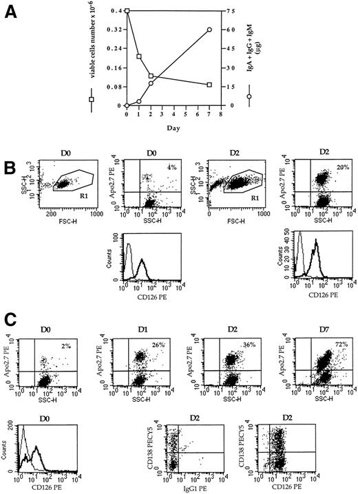 Fig. 7. Kinetics of IgG secretion, apoptosis, and IL6-R (CD126) expression. After thawing (RP5), CD20+cells were removed and the population was separated into CD138+ and CD138− cells. (A) CD20− CD138− cells were cultured in RPMI 1640 10% FCS with 3 ng/mL IL-6 for 7 days. At days 0, 1, 2, and 7, supernatant was harvested and the amount of secreted Ig was determined by ELISA. The number of viable cells was determined by trypan-blue exclusion. (B and C) CD20− CD138+cells (B) and CD20− CD138− (C) cells were cultured in RPMI 1640 10% FCS with 3 ng/mL IL-6. Apoptotic cells were determined by Apo2.7-PE staining. CD138-PECY5 and CD126-PE expression was determined in double staining in the viable cell population (R1 dot-plot FSC v SSC).