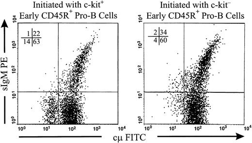 Fig. 6. C-kit+ and c-kit− early CD45R+ pro-B cells generate sIgM+ cells. C-kit+ and c-kits− subsets of CD45R+ CD43+ BP-1−CD25− NK1.1− sIgM− cells were sorted from lymphoid-enriched BM and placed in coculture with ST2 stromal cells. Cells were harvested at day 6 and costained for surface IgM and cytoplasmic μ chains as described in Materials and Methods. Costaining is shown for cells within lymphocyte light scatter gates. Percentages of cells falling in each quadrant are given. The data are representative of either two (c-kit+) or three (c-kit−) similar independent experiments performed on pooled marrow from 5 or 7 mice.