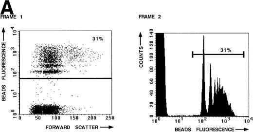 Fig. 1. LFA-1– and VLA-4–mediated adhesion of PBL from a healthy donor both measured with the fluorescent beads and the plate adhesion assay. Binding of ICAM-1–coated fluorescent beads by PBL after stimulation with PMA (A) and in the presence of anti–LFA-1 blocking antibody NKI-L15 (B). (C and D) Comparison of the adhesion as measured with both assays. Adhesion was measured without any stimulus and after stimulation with PMA or an activating anti-β2 (KIM185) or anti-β1 (TS2/16) MoAb. The specificity was determined by measuring adhesion in the presence of blocking anti–LFA-1 (NKI-L15) or anti–VLA-4 (HP2/1) MoAb.