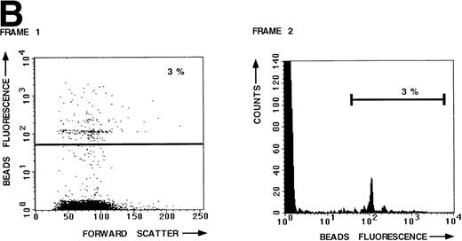 Fig. 1. LFA-1– and VLA-4–mediated adhesion of PBL from a healthy donor both measured with the fluorescent beads and the plate adhesion assay. Binding of ICAM-1–coated fluorescent beads by PBL after stimulation with PMA (A) and in the presence of anti–LFA-1 blocking antibody NKI-L15 (B). (C and D) Comparison of the adhesion as measured with both assays. Adhesion was measured without any stimulus and after stimulation with PMA or an activating anti-β2 (KIM185) or anti-β1 (TS2/16) MoAb. The specificity was determined by measuring adhesion in the presence of blocking anti–LFA-1 (NKI-L15) or anti–VLA-4 (HP2/1) MoAb.