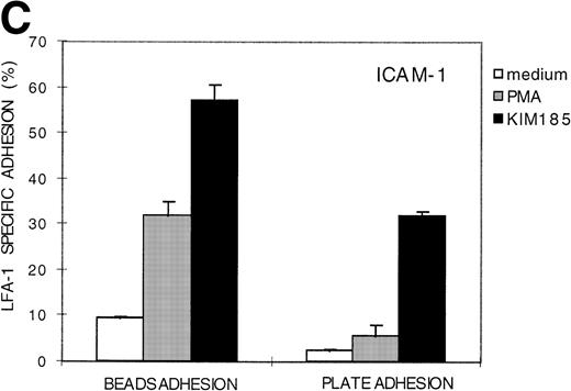 Fig. 1. LFA-1– and VLA-4–mediated adhesion of PBL from a healthy donor both measured with the fluorescent beads and the plate adhesion assay. Binding of ICAM-1–coated fluorescent beads by PBL after stimulation with PMA (A) and in the presence of anti–LFA-1 blocking antibody NKI-L15 (B). (C and D) Comparison of the adhesion as measured with both assays. Adhesion was measured without any stimulus and after stimulation with PMA or an activating anti-β2 (KIM185) or anti-β1 (TS2/16) MoAb. The specificity was determined by measuring adhesion in the presence of blocking anti–LFA-1 (NKI-L15) or anti–VLA-4 (HP2/1) MoAb.