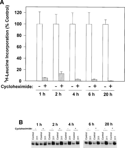Fig. 6. The effect of the protein synthesis inhibitor, cycloheximide (40 μg/mL), on (A) 3H-leucine incorporation into protein over 1 to 20 hours and (B) on the RNA-binding activity of the IRPs during 1 to 20 hours of incubation with control medium (control) or 311 (25 μmol/L). The result in (A) is the mean ± SD of 5 replicates in a typical experiment from two experiments performed. The result in (B) is a typical experiment from four experiments performed.