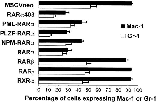 Fig. 2. RAR and RAR403 and RAR-fusion genes inhibit myeloid differentiation of primary progenitors. The bars represent the percentages of cells transduced with the different vectors that express Mac-1 and Gr-1 after 7 days of methylcellulose cultures. Each value is the average of 5 to 7 independent transduction experiments (±SEM).