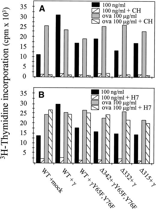 Fig. 4. hFcγRIa triggered antigen presentation depends on newly synthesized proteins and on protein serine kinase activity. (A) Transfectants were incubated in RPMI 1640 medium alone or medium with cycloheximide (CH) and either 100 ng/mL rabbit IgG-OVA complexes or OVA alone. B) Transfectants were incubated in medium alone or medium with H7 and either 100 ng/mL rabbit IgG-ovalbumin complexes or ovalbumin alone. For both (A and B), cells were then washed and incubated with OVA-specific T cells for 16 hours. Levels of IL-2 released by T cells were determined by CTLL proliferation assays. Data represent means of duplicate determinations in a single experiment, repeated at least four times, with essentially identical results.