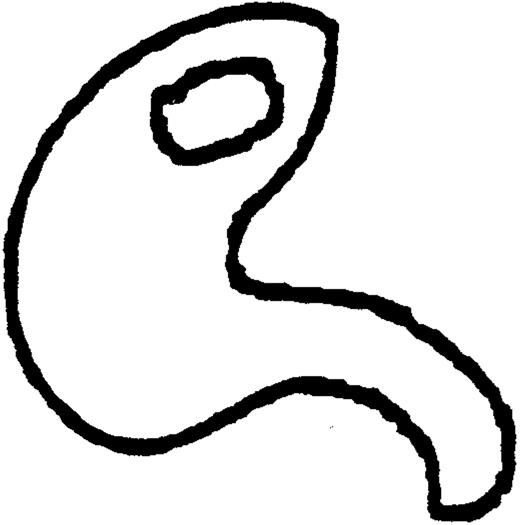 Subcellular Distribution of Internalized OVAg and cHRP