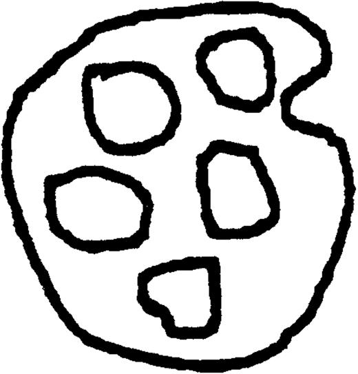 Subcellular Distribution of Internalized OVAg and cHRP