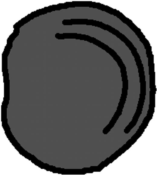 Subcellular Distribution of Internalized OVAg and cHRP