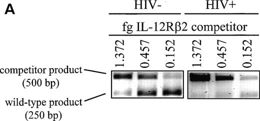 Fig. 3. Induction of IL-12Rβ2 mRNA is depressed in cells from HIV-infected individuals. PBMC from nine HIV+ patients and six healthy controls were cultured at 2 × 106/mL for 20 hours with PHA + TPA, anti-CD3 (OKT3), TPA + ionomycin (Io), or medium alone. RNA was extracted and competitive RT-PCR for IL-12Rβ2 was performed as described in Materials and Methods. (A) Representative samples of PHA + TPA-stimulated samples from each cohort are shown to demonstrate competitive IL-12Rβ2 RT-PCR. Near-equivalent competition is observed at 0.457 fg IL-12Rβ2 for the control sample and at 0.152 fg for the patient sample. (B) Densitometric values in arbitrary units were assigned by the ImageQuaNT program to the ethidium bromide-stained bands of wild-type and competitor fragments, which most closely approached equivalent competition. IL-12Rβ2 quantities were computed through the following formula: Unknown Sample Quantity = (ImageQuaNT Sample Value)(Quantity of Competitor)/(ImageQuaNT Competitor Value). Data represent the means of values derived from nine patients and six controls (except patients stimulated with TPA + ionomycin, wheren = 2). The P values comparing patient versus control group IL-12Rβ2 expression and unstimulated (no stim) versus stimulated groups are listed and were calculated via an unpaired student’s t-test. n.s., not significant.