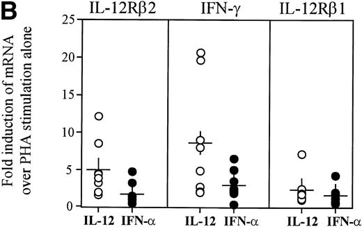 Fig. 4. Enhancement of IL-12Rβ2 and IFN-γ transcript expression in HIV-infected PBMC by IL-12 and IFN-. PBMC from eight patients were cultured at 2 × 106/mL for 72 hours with 2 μg/mL PHA ± 2 ng/mL IL-12 or 1,000 U/mL IFN-. (A) RNA was extracted and RT-PCR was performed for the detection of IL-12Rβ1, IL-12Rβ2, IFN-γ, and HPRT mRNA. Representative results from 4 of 8 donors are shown. (B) Densitometric values were assigned to bands by ImageQuaNT, normalized to HPRT values, and displayed as fold induction of message levels compared with PHA stimulation alone. Data points are from individual donors (n = 8) and the mean is represented by (+).
