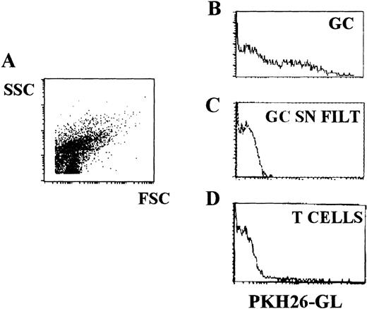 Fig. 4. Analysis of GC B-cell–derived vesicles by flow cytometry. Tonsillar GC B cells and T cells were stained with the cell membrane-specific probe, PKH26-GL, and then cultured for 2 hours. After this period, cell-free SN was collected and the presence of membranous vesicles was monitored by flow cytometry. (A) Dot plot representation of the forward scatter (FS) versus side scatter (SS) values of the SN containing GC B-cell–derived particles is shown. FL2 histogram obtained from the analysis of the same sample as in (A), either before (B) or after (C) filtering through a 0.1-μm pore membrane and of SN obtained from T-cell culture (D).