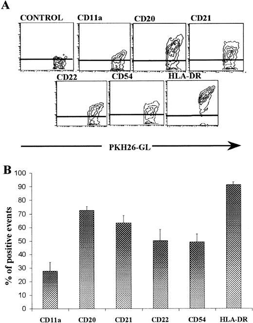 Fig. 6. Expression of surface molecules by vesicles derived from cultured GC B cells. GC B cells were stained with PKH26-GL and FITC-conjugated MoAb against several surface molecules present on GC B cells and against an irrelevant antigen (control). After 2 hours, cell-free SN was obtained and analyzed by flow cytometry. (A) Contour plots of FL2 (PKH26-GL staining) versus FL1 (indicated molecule) from one representative example are shown. (B) Values were expressed as the percentage of particles positive for each molecule. Results represent the mean ± SEM of three experiments.