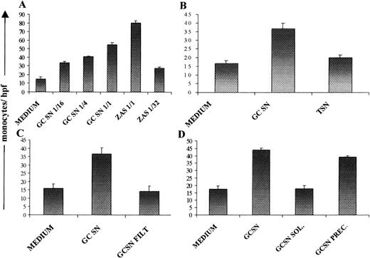 Fig. 7. Chemoattractant activity on human monocytes by vesicles derived from GC B cells cultured for 2 hours. (A) Monocyte chemotaxis was assessed using as stimulus culture medium (negative control), ZAS (positive control), and different dilutions of GC B-cell culture SN (GC SN). (B) The chemoattractant activity of GC SN was compared with that of a similar supernatant obtained from T-cell cultures (T SN). (C) Comparison of the chemoattractant effect of GC SN before and after being passed through a 0.1-μm pore membrane (GC SN FILT). (D) GC SN was centrifuged at 105g, and the precipitated material (GC SN PREC) and the soluble fraction (GC SN SOL) were obtained and tested in the chemotaxis assay. The values were expressed as the mean count of migrated monocytes per high-power field. Results represent the mean ± SEM of four experiments.