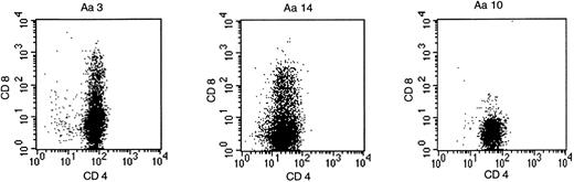 Fig. 2. BCR-ABLb2a2 fusion peptide-specific T clones were either CD4-single positive, as exemplified by clone Aa10, or as shown for clones Aa3 and Aa14, partially CD4/CD8-double positive.