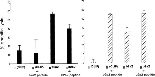 Fig. 4. Autologous B-LCL transfected with full-length BCR-ABLb2a2 cDNA are lysed by b2a2 fusion peptide-specific clones Aa3 (solid bars) and Aa14 (hatched bars) only after cotransfection with Iib2a2 (invariant chain construct in which part of CLIP was replaced by a b2a2 joining region sequence) and/or incubation with b2a2 peptide.